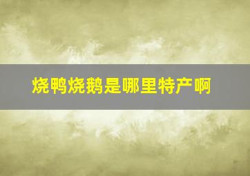 烧鸭烧鹅是哪里特产啊