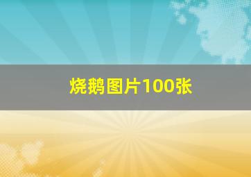 烧鹅图片100张