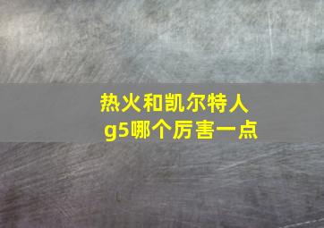 热火和凯尔特人g5哪个厉害一点