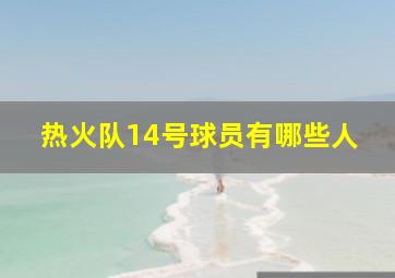 热火队14号球员有哪些人