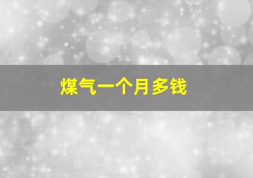 煤气一个月多钱