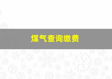 煤气查询缴费