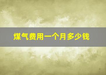 煤气费用一个月多少钱