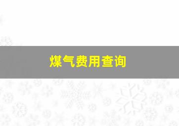 煤气费用查询