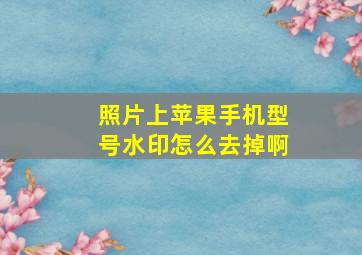 照片上苹果手机型号水印怎么去掉啊