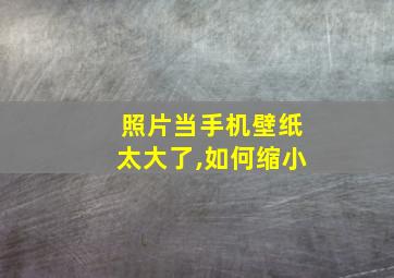 照片当手机壁纸太大了,如何缩小