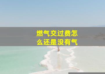 燃气交过费怎么还是没有气