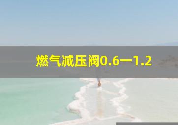 燃气减压阀0.6一1.2