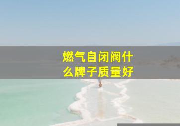 燃气自闭阀什么牌子质量好