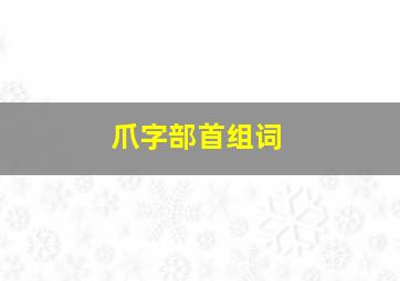 爪字部首组词