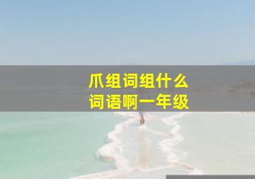 爪组词组什么词语啊一年级