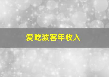 爱吃波客年收入