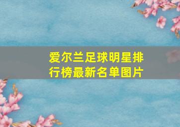 爱尔兰足球明星排行榜最新名单图片