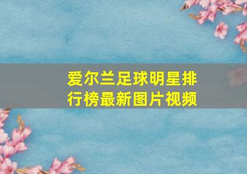 爱尔兰足球明星排行榜最新图片视频