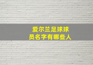 爱尔兰足球球员名字有哪些人