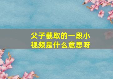 父子截取的一段小视频是什么意思呀