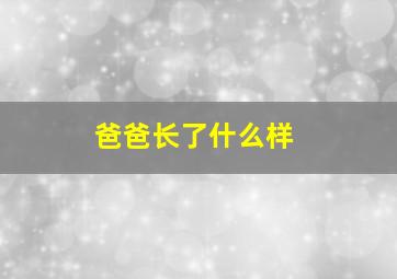 爸爸长了什么样