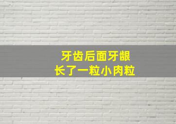 牙齿后面牙龈长了一粒小肉粒