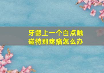 牙龈上一个白点触碰特别疼痛怎么办