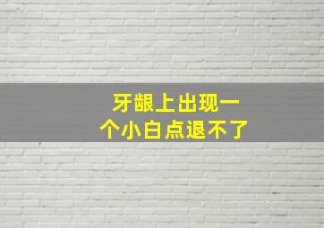 牙龈上出现一个小白点退不了