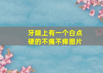 牙龈上有一个白点硬的不痛不痒图片