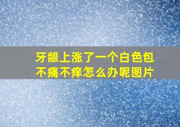 牙龈上涨了一个白色包不痛不痒怎么办呢图片