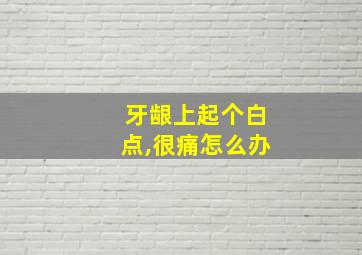 牙龈上起个白点,很痛怎么办