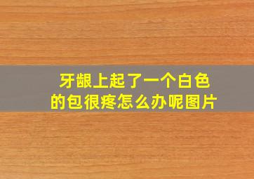 牙龈上起了一个白色的包很疼怎么办呢图片