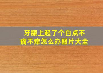 牙龈上起了个白点不痛不痒怎么办图片大全