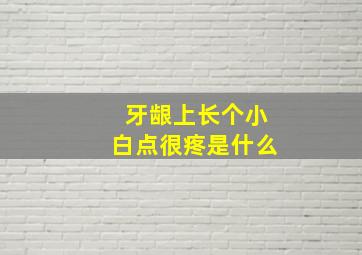 牙龈上长个小白点很疼是什么