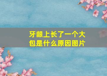 牙龈上长了一个大包是什么原因图片