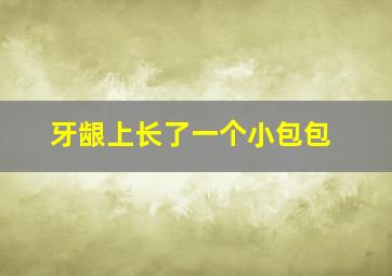 牙龈上长了一个小包包