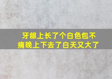 牙龈上长了个白色包不痛晚上下去了白天又大了