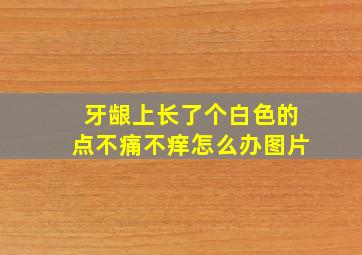 牙龈上长了个白色的点不痛不痒怎么办图片