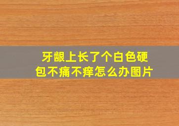 牙龈上长了个白色硬包不痛不痒怎么办图片