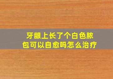 牙龈上长了个白色脓包可以自愈吗怎么治疗