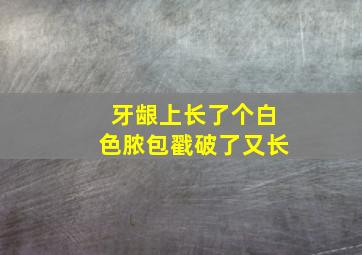 牙龈上长了个白色脓包戳破了又长