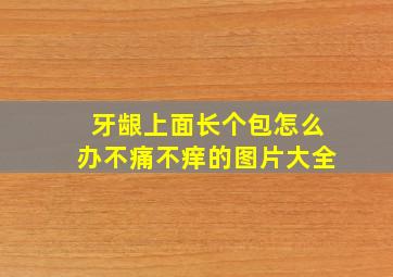 牙龈上面长个包怎么办不痛不痒的图片大全