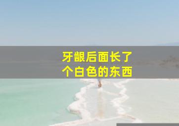 牙龈后面长了个白色的东西