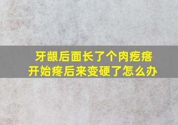 牙龈后面长了个肉疙瘩开始疼后来变硬了怎么办