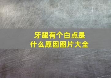 牙龈有个白点是什么原因图片大全