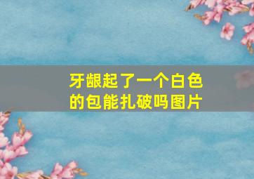 牙龈起了一个白色的包能扎破吗图片