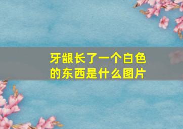 牙龈长了一个白色的东西是什么图片