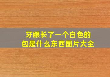 牙龈长了一个白色的包是什么东西图片大全