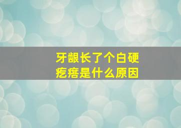 牙龈长了个白硬疙瘩是什么原因