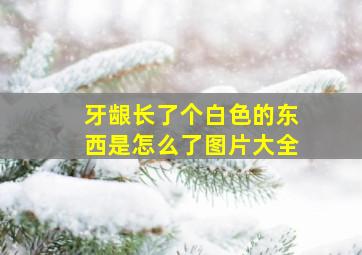 牙龈长了个白色的东西是怎么了图片大全