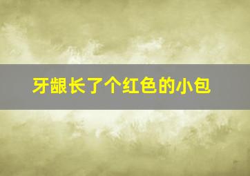 牙龈长了个红色的小包