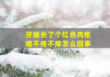 牙龈长了个红色肉疙瘩不疼不痒怎么回事