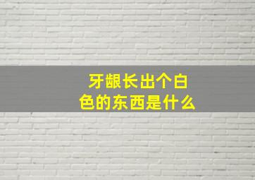 牙龈长出个白色的东西是什么