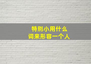 特别小用什么词来形容一个人